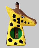 big giraffe head