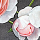 Three Roses