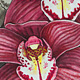Cymbidium Orchids