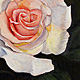 Rose VIII