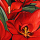 Red Tulips