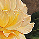 Rose II