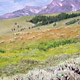 Howard Eaton Trail
