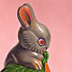Carrot Bunny