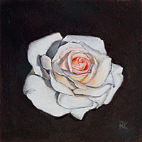 Rose II