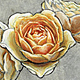 Graham Thomas Rose