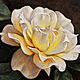 Rose I