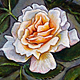 Rose III