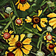 Brown-eyed Susans