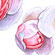 Three Roses