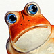Orange Frog