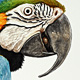 Blue-and-gold Macaw