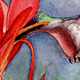 Ruby-throated Hummingbird