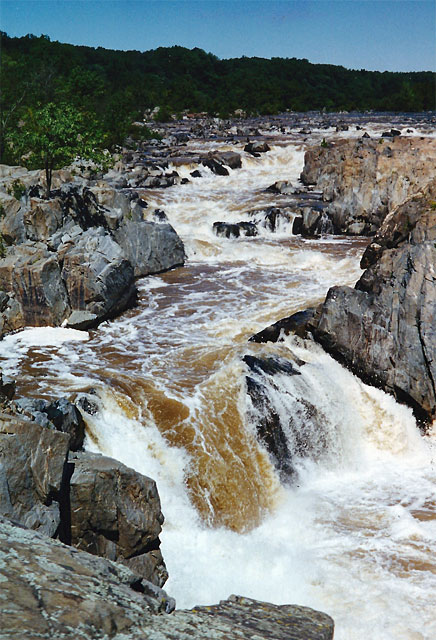 difficult run stream valley park great falls va